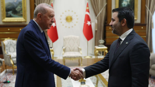 Cumhurbaşkanı Erdoğan, Suriye Dışişleri Bakanı Şeybani'yi kabul etti